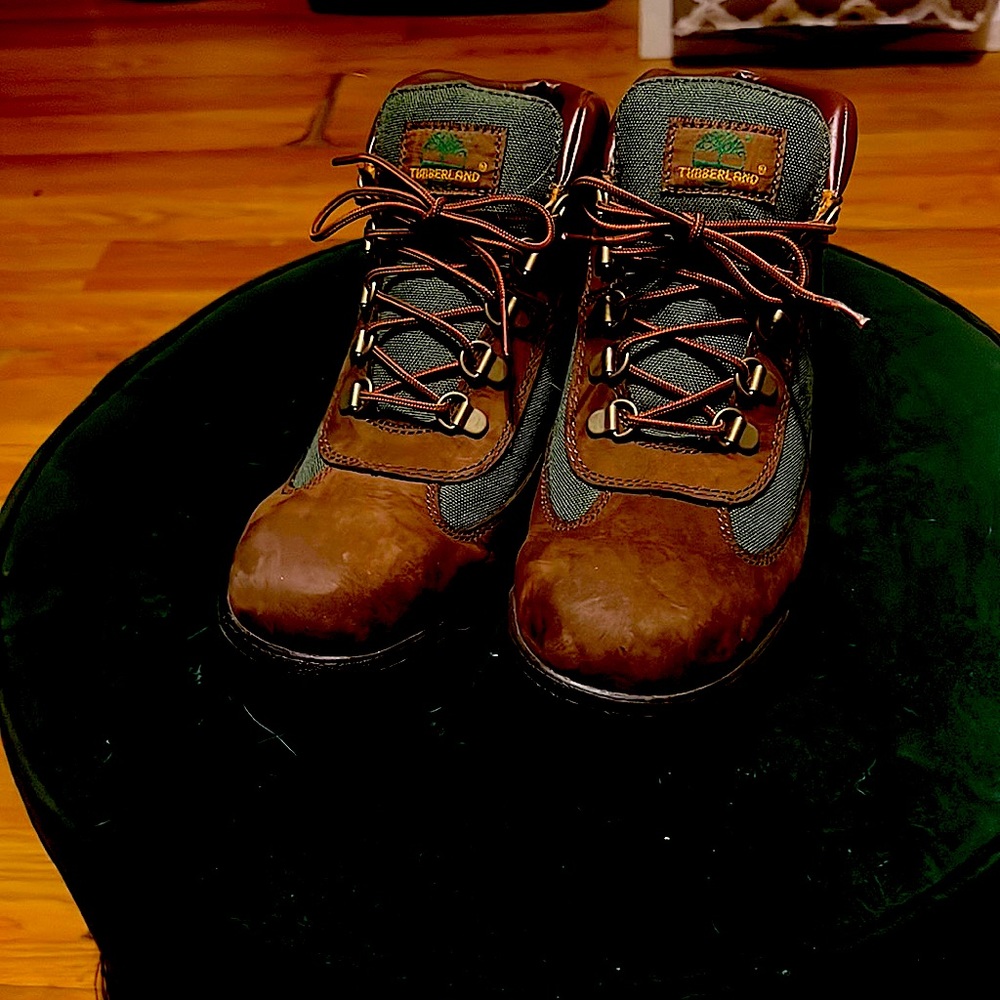 Beef and Broccoli Timbs